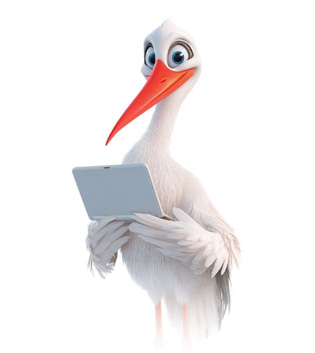 l'emblème de l'Alsace, la cigogne apporte votre site web directement au coeur de l'Alsace