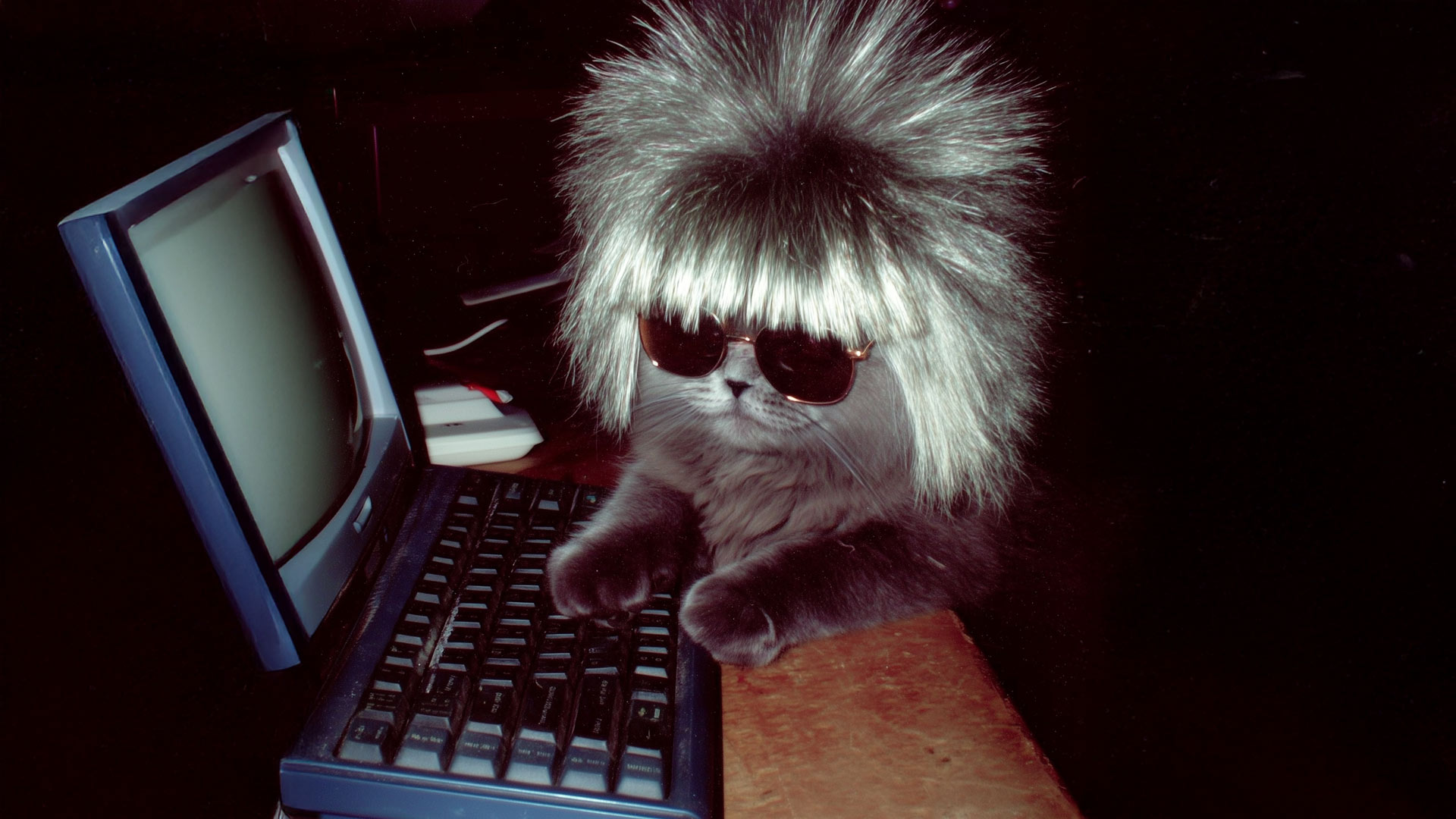 Créez un site web efficace en Alsace et attirez vos clients locaux